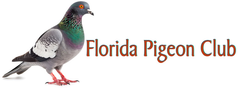 Florida Pigeon Club